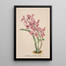 Riproduzione del dipinto Collection di orchidee Pl41 - Anonimo
