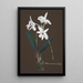 Riproduzione del dipinto Collection di orchidee Pl48 - Anonimo