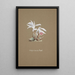 Collection d'orchidées Pl53 - Anonyme — quadro incorniciato alla parete