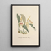Riproduzione del dipinto Collection d'orchidées Pl69 - Anonyme