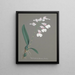 Collection d'orchidées Pl79 - Anonyme — quadro incorniciato alla parete