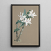Riproduzione del dipinto Collection d'orchidées Pl89 - Anonyme