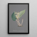 Riproduzione del dipinto Collection d'orchidées Pl91 - Anonyme