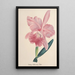Riproduzione del dipinto Collection di orchidee Pl98 - Anonimo
