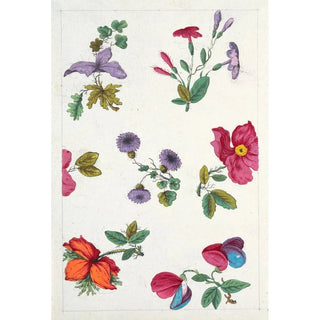 Anonymous - Floral design for printed textile Pl XII.webp