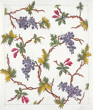 Anonymous - Floral design for printed textile Pl XVIII.webp