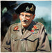 Generale Sir Bernard Montgomery - Anonimo — vista dell’opera