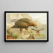 Aigle royal - Anonyme — quadro incorniciato alla parete