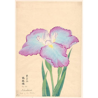 Anonymous - Hall of the Storks Kakushakuro.webp