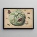 Tête de chou avec insectes - Anonyme — quadro incorniciato alla parete