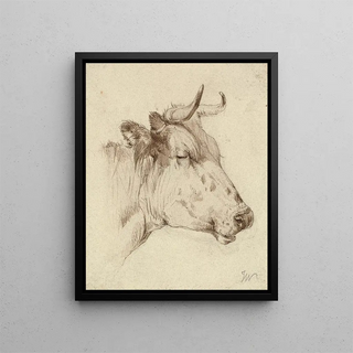 Anonymous - Head of a cow.webp
