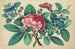 Grande Fiore Rosso, Fiori Blu, Farfalla - Anonimo — vista dell’opera