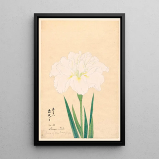 Anonymous - Moon of the Frosty Night Shimoyo no Tsuki.webp