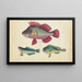 Un poisson rosa, due pesci verdi - Anonimo — quadro incorniciato alla parete