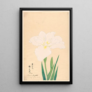 Anonymous - Plumage of the Stork Tsuru no Kegoromo.webp