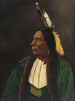 Ritratto di un Indiano d'America - Anonimo — vista dell’opera