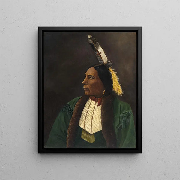 Ritratto di un Indiano d'America - Anonimo — quadro incorniciato alla parete