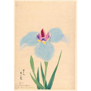 Anonymous - The Blessing of Heaven Kiminomegumi.webp
