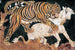 Tigre attaccando un vitello - Anonimo — vista dell’opera