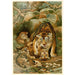 Tigre e piccoli - Anonimo — vista dell’opera