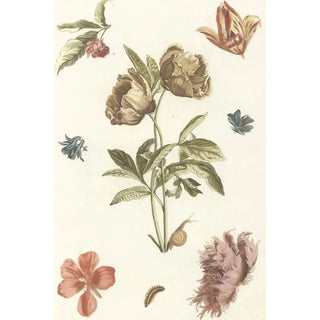 Anonymous - Verschillende bloemen en een rups.webp