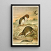 Musaraignes palmées - Anonyme — quadro incorniciato alla parete