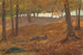 in legno d'autunno - Anonimo — vista dell’opera