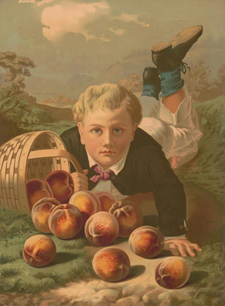 Anonymous - Young boy on the ground after he has fallen with a basket of spilled peaches.webp