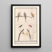 Foglio con sette uccelli tropicali - Anselmus Botius de Boodt — quadro incorniciato alla parete