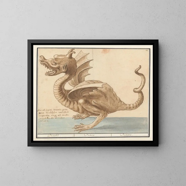 Drago - Anselmus Botius de Boodt — quadro incorniciato alla parete