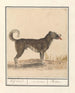 Famiglia di lupi Hond Canis HofHond Molossus Mtin - Anselmus Botius de Boodt — vista dell’opera