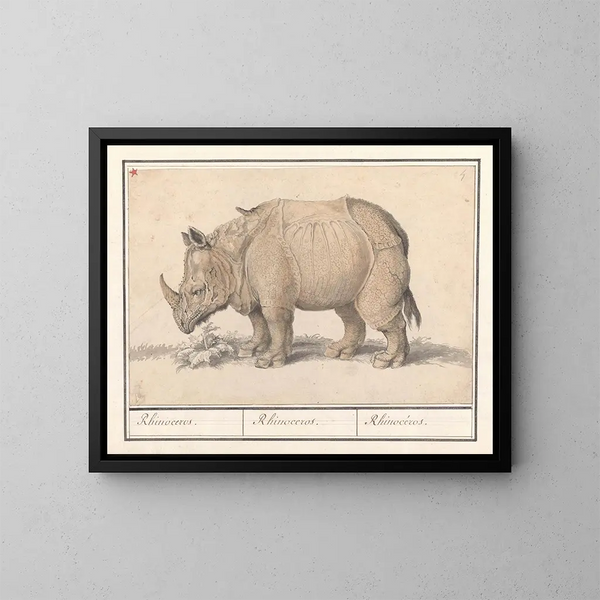 Rinoceronte indiano - Anselmus Botius de Boodt — quadro incorniciato alla parete