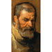 Tête d'homme barbu - Antoine van Dyck — vista dell’opera