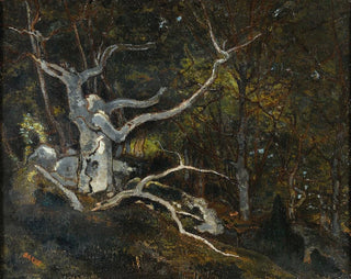 AntoineLouis Barye - Forest Of Fontainebleau The reine Blanche.webp