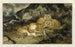 Leone e leoncini - Antoine-Louis Barye — vista dell’opera