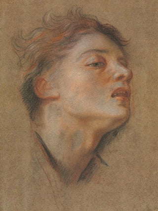 Antoine Coypel - Head of a Young Man.webp
