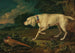 Un chien da caccia con un fagiano - Anton Enzinger — vista dell’opera