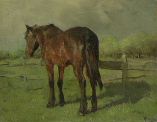 Cavallo - Anton Mauve — vista dell’opera