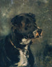 Testa di cane da macellaio Testa di cane - Anton Romako — vista dell’opera