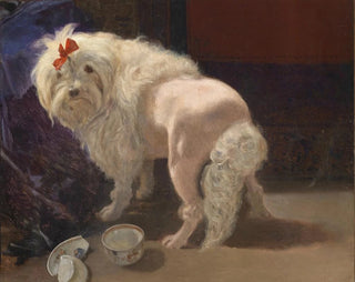 La coupe brisée - Anton Schrödl — vista dell’opera