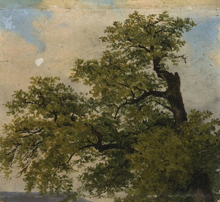 Arbres - Julius Schoppe