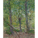 Riproduzione del dipinto Alberi - Vincent van Gogh