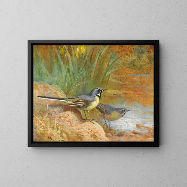 5 Rondini grigie - Archibald Thorburn — quadro incorniciato alla parete