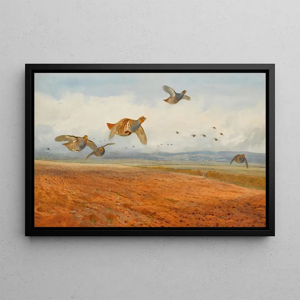 Una compagnia di pernici grigie in volo - Archibald Thorburn — quadro incorniciato alla parete