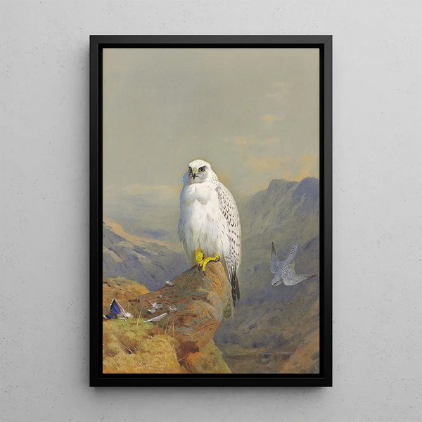 Riproduzione del dipinto Un falco della Groenlandia su un promontorio roccioso - Archibald Thorburn