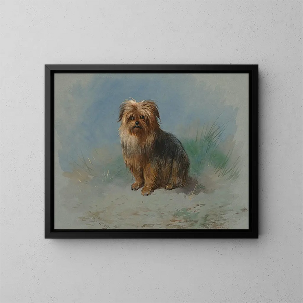 Un terrier di Norfolk - Archibald Thorburn — quadro incorniciato alla parete