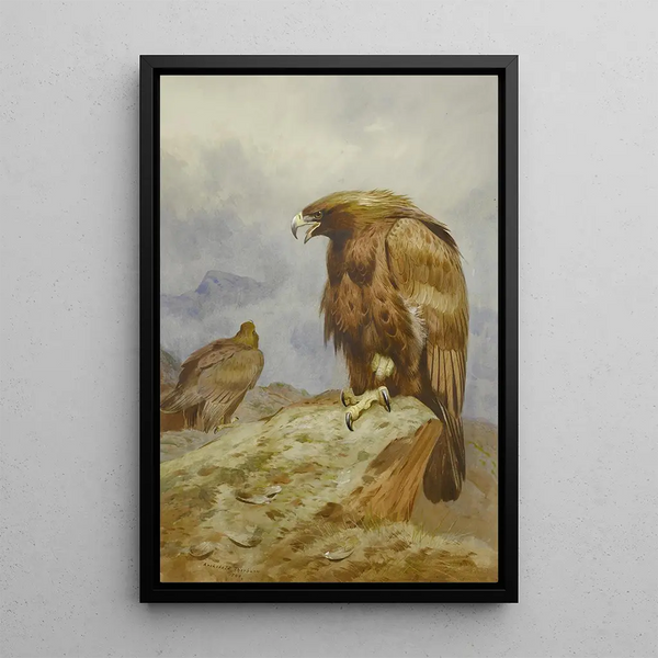 Un coppia di aquile reali - Archibald Thorburn — quadro incorniciato alla parete
