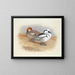 Una coppia di harles - Archibald Thorburn — quadro incorniciato alla parete