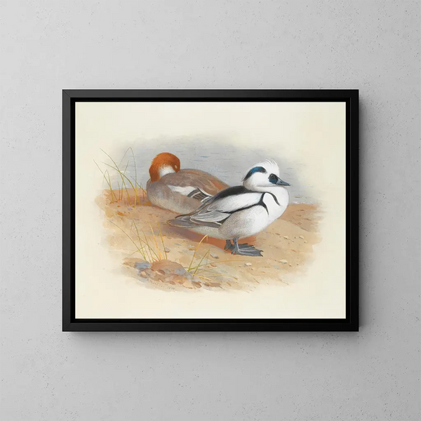 Una coppia di harles - Archibald Thorburn — quadro incorniciato alla parete