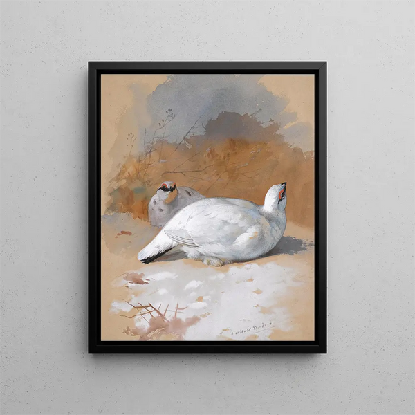 Una coppia di lagopèdes nella neve - Archibald Thorburn — quadro incorniciato alla parete